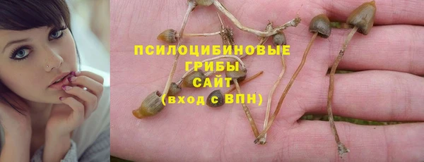 марки nbome Каменногорск