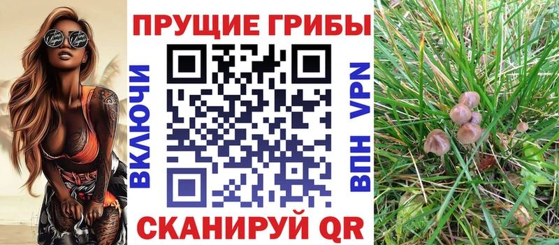 Галлюциногенные грибы Magic Shrooms  Купить закладки  Онега 